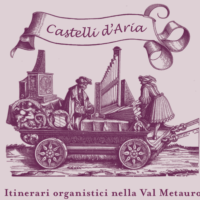 Castelli d’Aria 2017 - Concerto d’organo presso la Concattedrale di Santa Maria Assunta