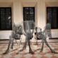 figurastrazione