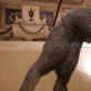 figurastrazione